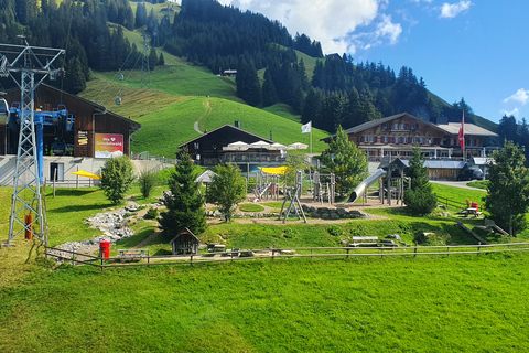 Grindelwald Primera (Cima de la Aventura) Entrada incl. Paseo por el AcantiladoGrindelwald Primera (Cima de la Aventura) Entrada incl. Paseo por el acantilado