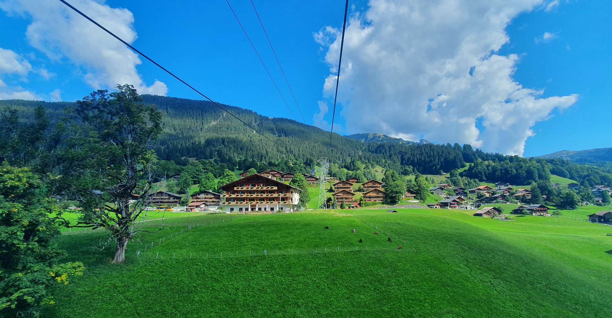 Grindelwald First, Cable Car Ticket mit Cliff Walk - Hizvo