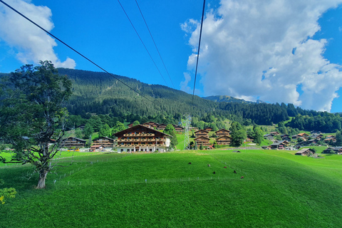 Grindelwald primeiro: Bilhete para o teleférico com passeio pelo penhascoGrindelwald First: Bilhete de teleférico com Cliff Walk