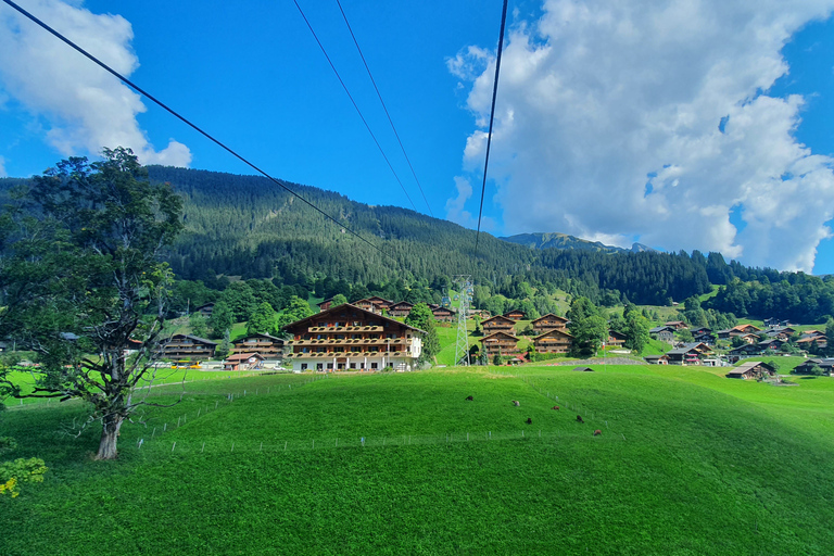 Grindelwald Primera (Cima de la Aventura) Entrada incl. Paseo por el AcantiladoGrindelwald Primera (Cima de la Aventura) Entrada incl. Paseo por el acantilado