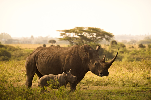 Lake Nakuru National Park von Nairobi aus