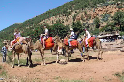 From Marrakech : atlas mountain, Berber villages, day trip