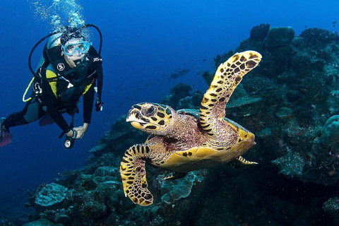 Zakynthos: Scuba Diving Experience with Underwater Photos Double dive discover scuba diving course