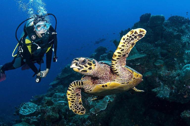 Zakynthos: Scuba Diving Experience with Underwater Photos Double dive discover scuba diving course
