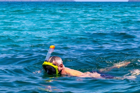Wyspa Wasini: Dolphin Spot & Snorkel w Kisite Marine ParkWyjazd z Mombasy, Shanzu i Mtwapy