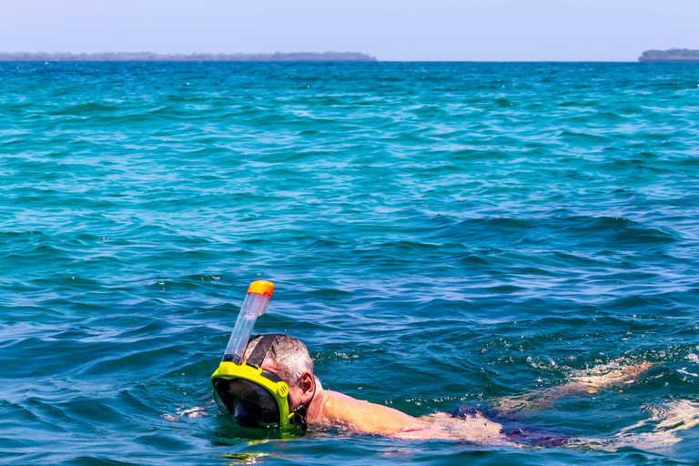 Ilha Wasini: observação de golfinhos e mergulho com snorkel em Kisite MpungutiPartida da Praia de Diani ou Tiwi