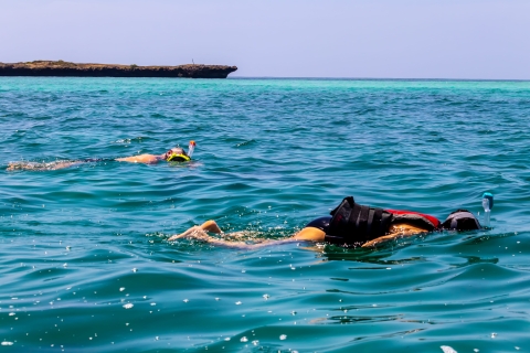 Île de Wasini : Observation des dauphins et plongée en apnée au parc marin de KisiteDépart de Diani & Tiwi