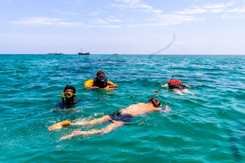 Wasini Island: Dolphin Spotting &amp; Snorkel at Kisite MpungutiDeparture from Diani Beach or Tiwi