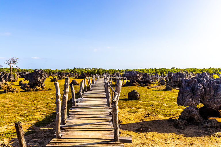 Wasini-eiland: dolfijnen spotten en snorkelen in Kisite Marine ParkVertrek vanuit Diani & Tiwi