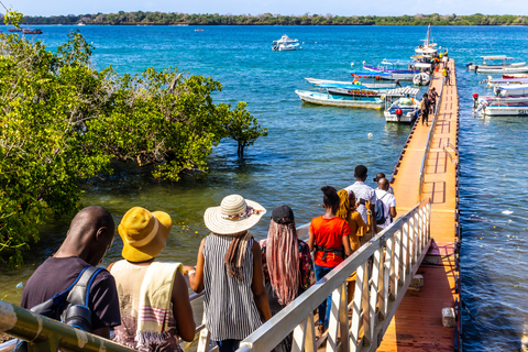 Wasini Island: Delfinspotting och snorkling vid Kisite MpungutiAvresa från Diani Beach eller Tiwi