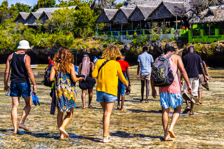 Île de Wasini : Observation des dauphins et plongée en apnée au parc marin de KisiteDépart de Diani & Tiwi