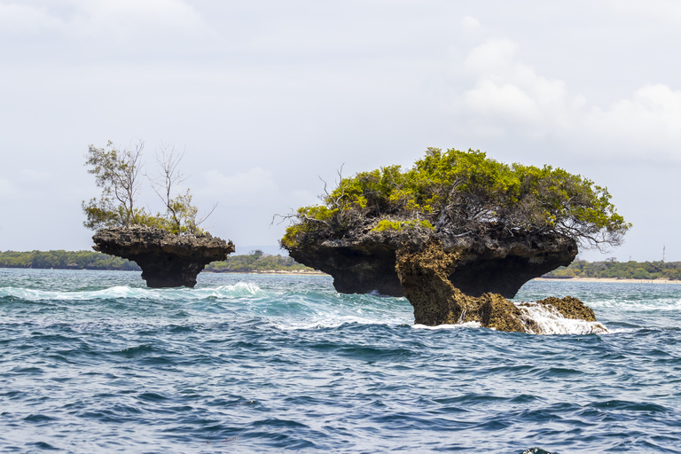 Wasini Island: Dolphin Spotting &amp; Snorkel at Kisite MpungutiDeparture from Diani Beach or Tiwi