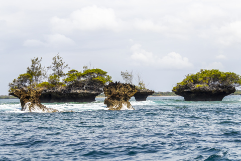 Wasini Island: Delfinspotting och snorkling vid Kisite MpungutiAvresa från Diani Beach eller Tiwi