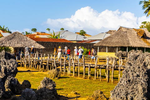 Wasini Island: Dolphin Spot & Snorkel at Kisite Marine Park Departure from Diani & Tiwi