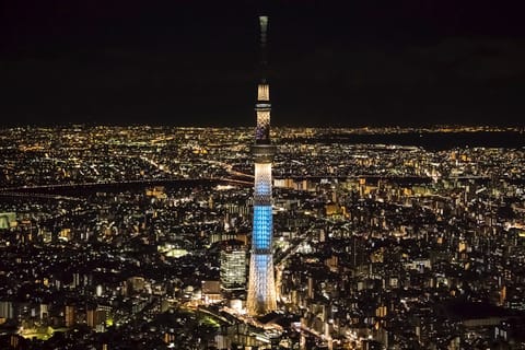 Tokyo Skytree: Exclusive Private experience with Guide