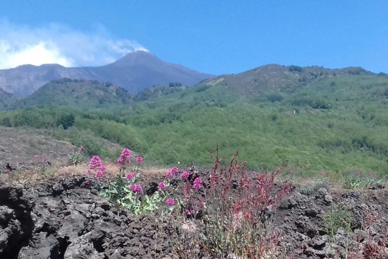 Coucher de soleil sur l'Etna et vin de l'Etna Doc