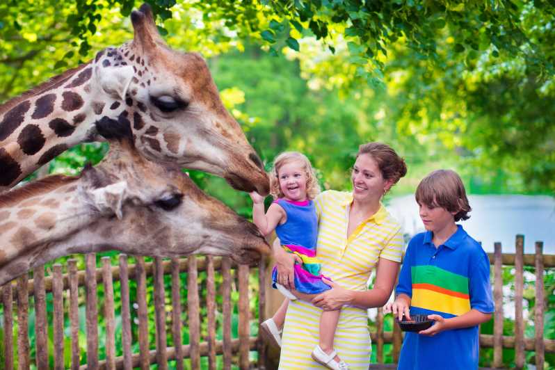 Krakow: Zoo Tour with Private Transport and Tickets