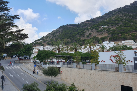 From Málaga: Marbella, Mijas y Puerto Banús