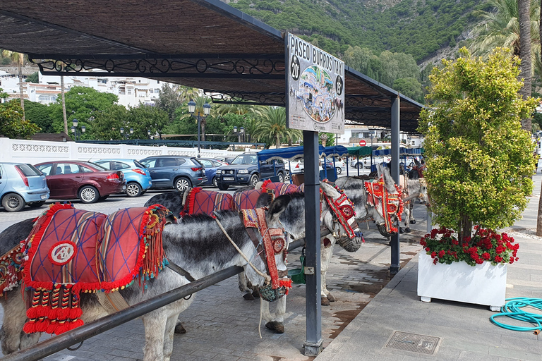 Da Malaga: tour guidato di Marbella, Mijas e Puerto Banús