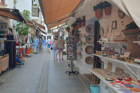 Vanuit Málaga: Marbella, Mijas en Puerto Banús