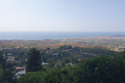 Desde Málaga: Marbella, Mijas y Puerto Banús