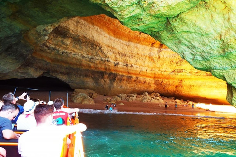 Safari et excursion en bateau - Montagnes et dauphins