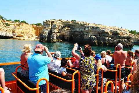 Safari et excursion en bateau - Montagnes et dauphins