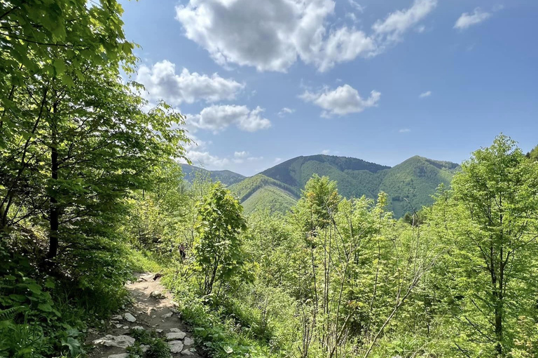 Bratislava: Small Fatra Mountains Guided Hike