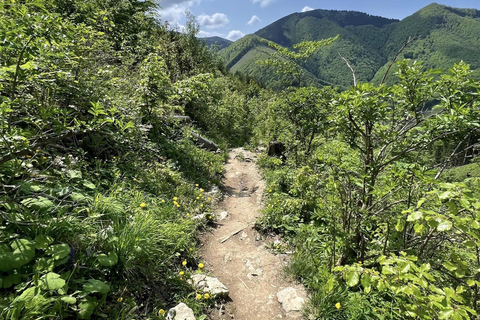 Bratislava: Small Fatra Mountains Guided Hike