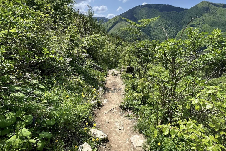 Bratislava: Small Fatra Mountains Guided Hike