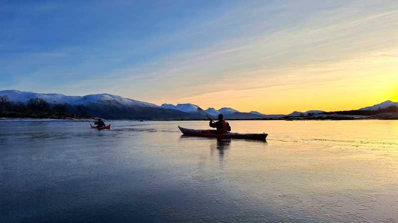 Tromsø: facile tour invernale in kayak