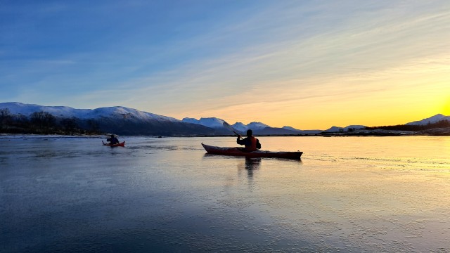 Visit Tromsø Easy Winter Kayaking Tour with Seal Watching in Tromso