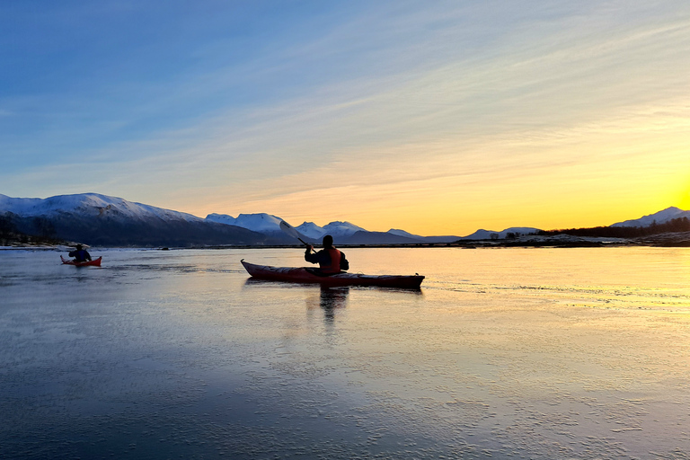 Tromsø: Easy Winter Kayaking Tour with Seal Watching Tromsø: Easy Winter Kayaking Tour