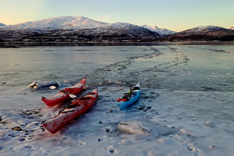 Tromsø: Easy Winter Kayaking Tour with Seal Watching Tromsø: Easy Winter Kayaking Tour