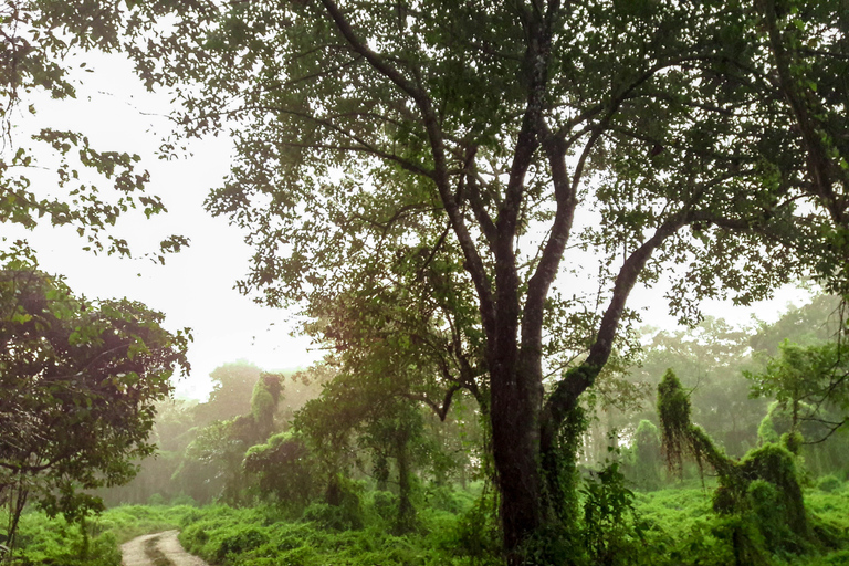 De Kathmandu/Pokhara: Excursão privativa de 3 dias com safári em Chitwan