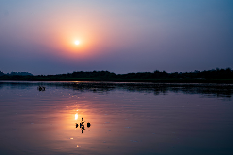 Prywatna 3-dniowa wycieczka po Chitwan Wildlife Safari z Pokhary