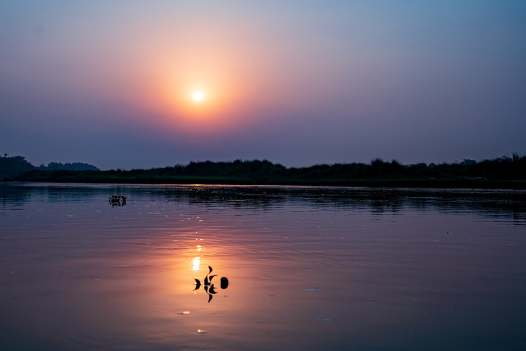 Safari privado de 3 días por la fauna salvaje de Chitwan desde Pokhara