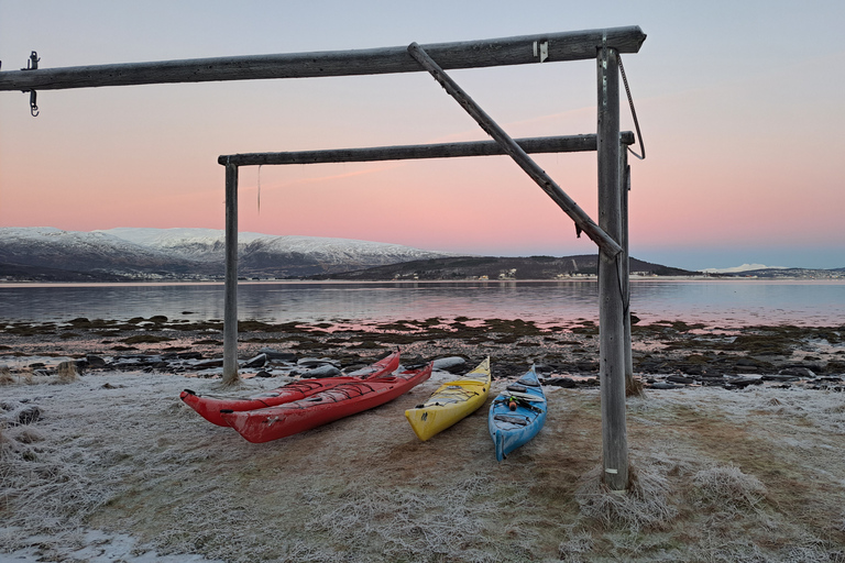 Tromsø: Easy Winter Kayaking Tour with Seal Watching Tromsø: Easy Winter Kayaking Tour