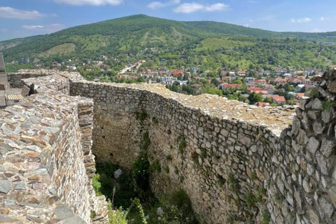 Bratislava : Grand tour de ville avec le château de DevinVisite de groupe