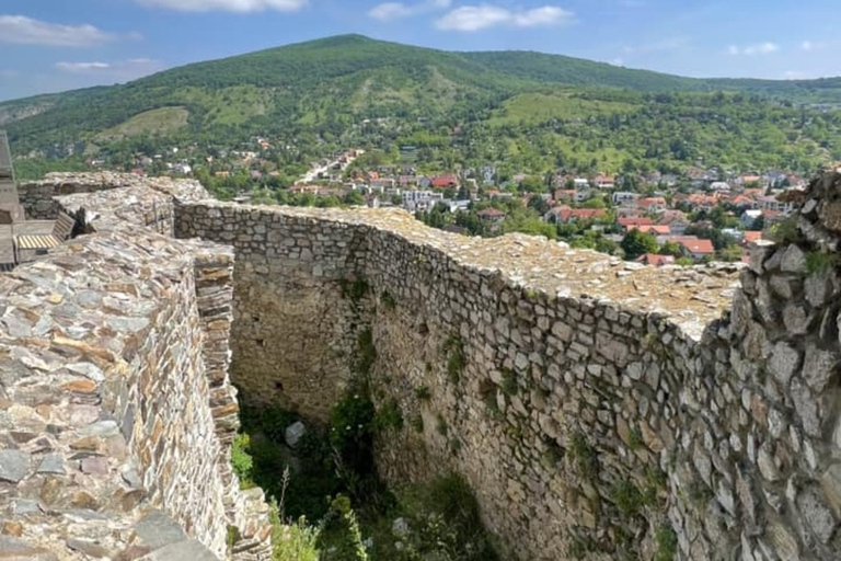 Bratislava : Grand tour de ville avec le château de DevinVisite de groupe