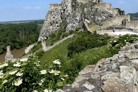 Bratislava: Grand City Tour with Devin Castle Shared Tour in ESP/FRE/ITA/RU