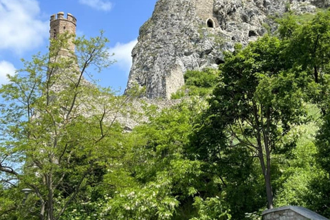 Bratislava : Grand tour de ville avec le château de DevinVisite de groupe