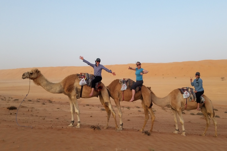Excursión Privada de un Día a las Dunas del Desierto y Wadi Bani Khalid
