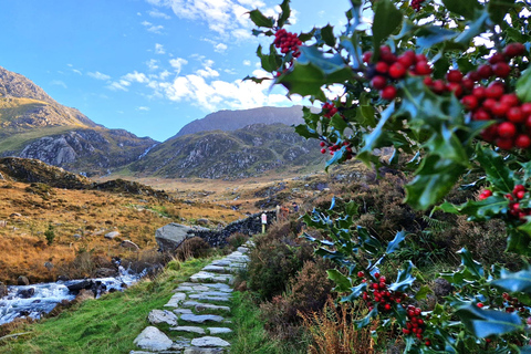 From Manchester: North Wales &amp; Snowdonia Day with Train Ride