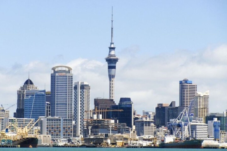Auckland: Prywatna niestandardowa wycieczka z lokalnym przewodnikiem8-godzinna wycieczka piesza