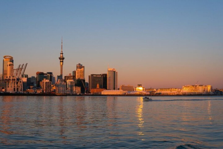 Auckland: Tour privato personalizzabile a piedi con guida localeTour a piedi di 3 ore