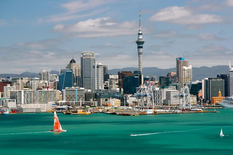 Auckland : Visite privée personnalisée avec un guide localVisite à pied de 3 heures