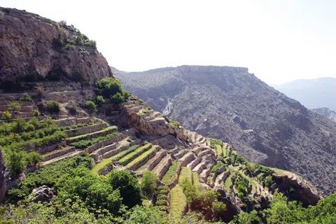 Prywatna jednodniowa wycieczka Nizwa, Jabel Akhdar (Rose Water Season)