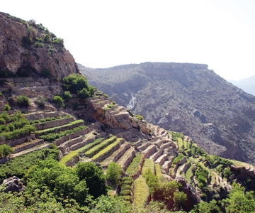 Private Day Tour Nizwa, Jabel Akhdar