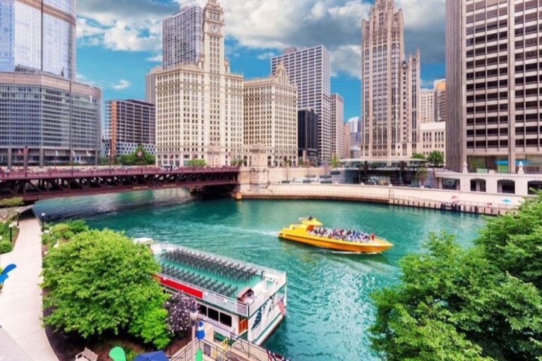 Chicago: Visita privada personalizada con un guía localRecorrido a pie de 4 horas